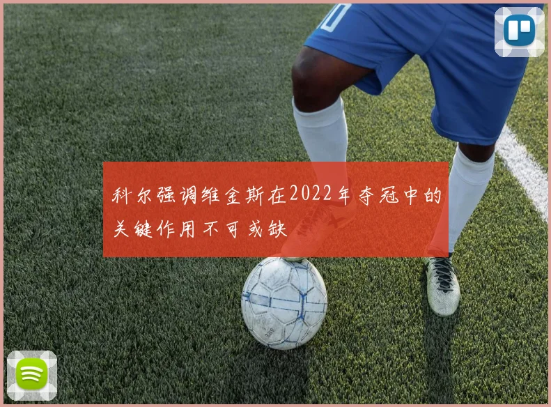 科尔强调维金斯在2022年夺冠中的关键作用不可或缺